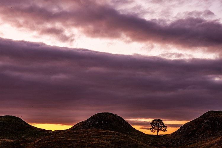 Sycamore Gap, Hadrian's Wall, Northumberland.