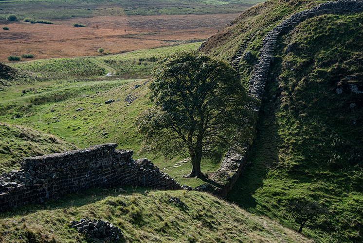 Sycamore Gap, Hadrian's Wall, Northumberland, England, UK