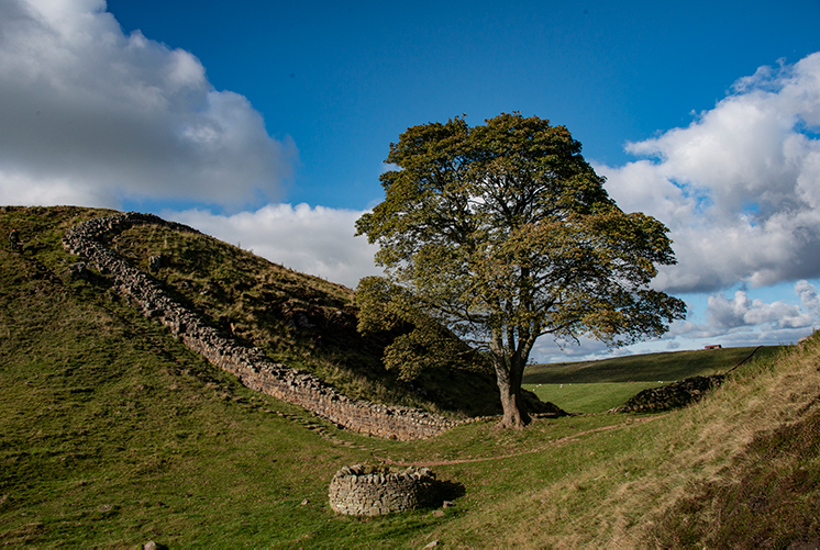 Sycamore Gap, Hadrian's Wall, Northumberland, England, UK