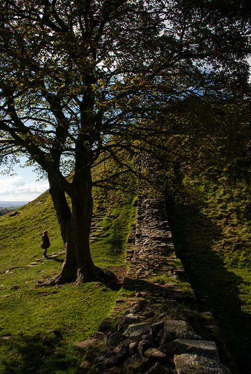 Sycamore Gap, Hadrian's Wall, Northumberland, England, UK