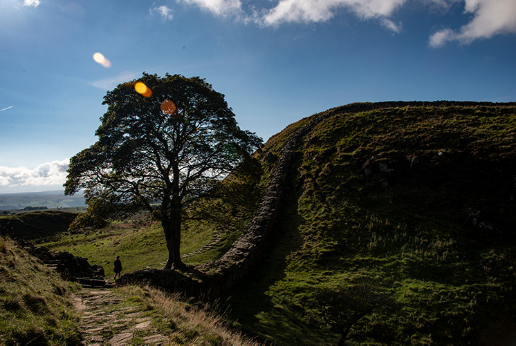 Sycamore Gap, Hadrian's Wall, Northumberland, England, UK