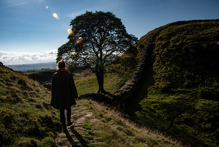 Sycamore Gap, Hadrian's Wall, Northumberland, England, UK