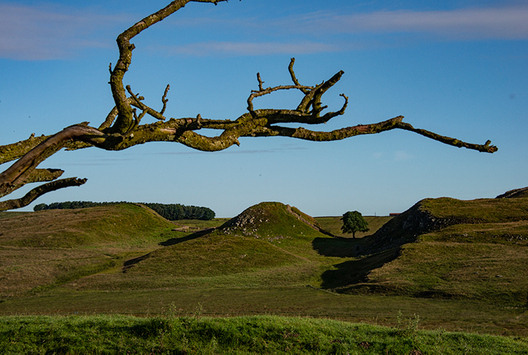 Sycamore Gap, Hadrian's Wall, Northumberland, England, UK