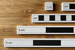 black white photography scales